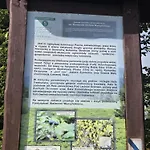 Goralska Czarcia Pod Jalowcem