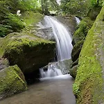 Goralska Czarcia Pod Jalowcem ファームステイ *
