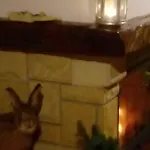 Goralska Czarcia Pod Jalowcem Feriegård