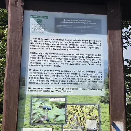 Góralska Czarcia Pod Jałowcem