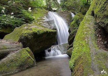 Goralska Czarcia Pod Jalowcem Farmház *
