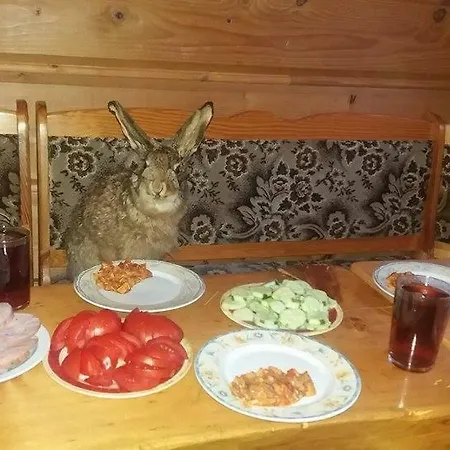 Goralska Czarcia Pod Jalowcem