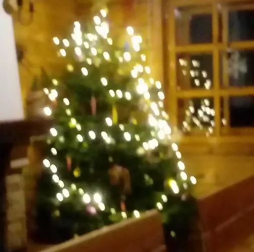 Κατάλυμα σε φάρμα Goralska Czarcia Chata Pod Jalowcem